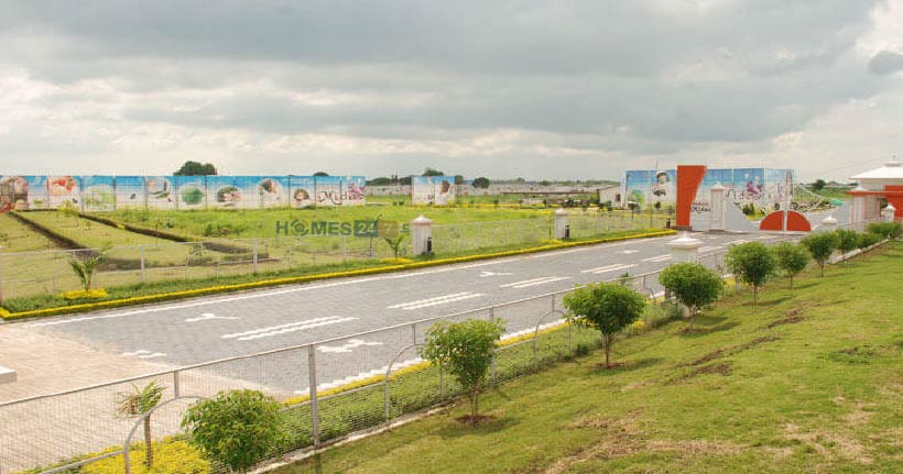 Paras Midas Cover Image